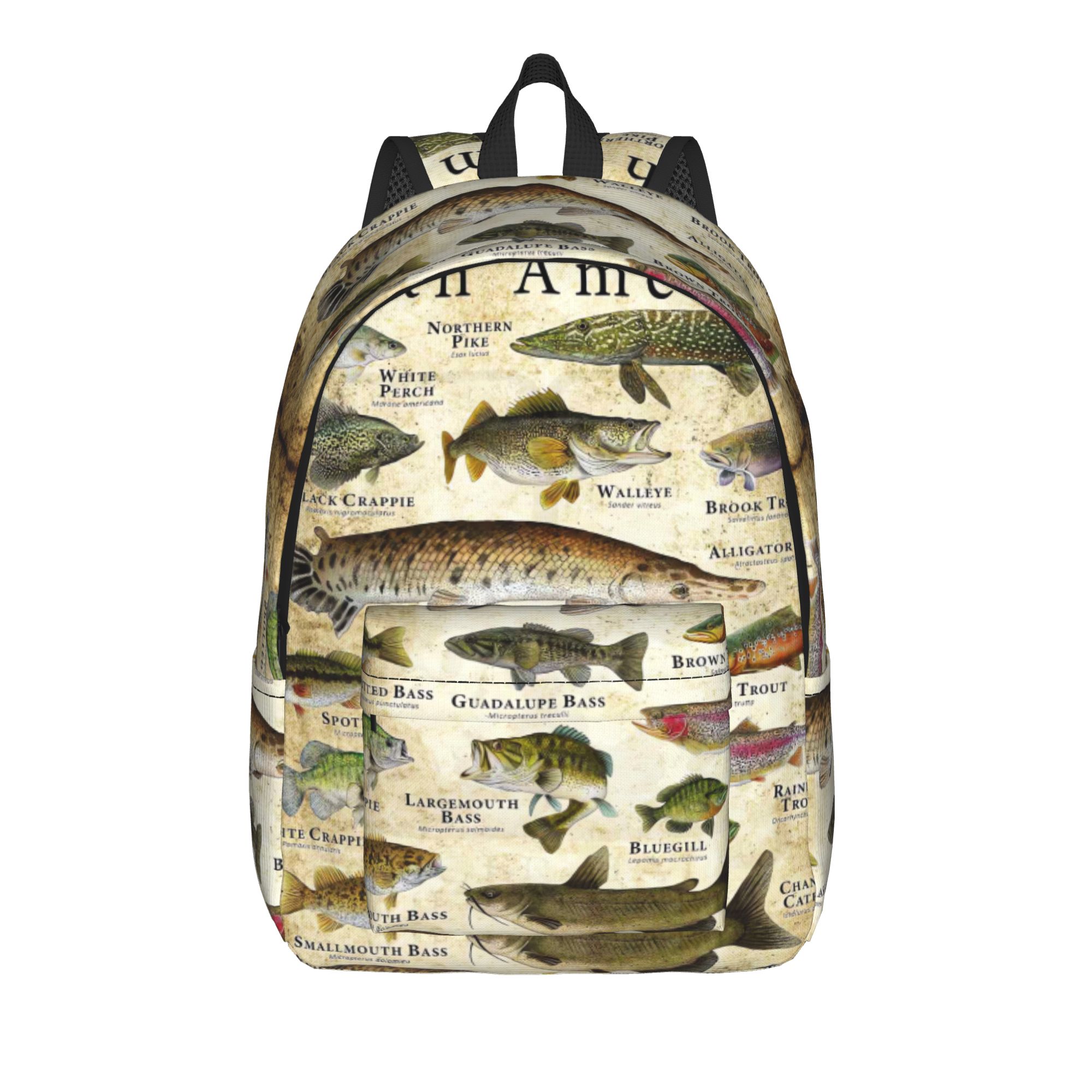Fish Alphabet Educational Fres - Interior Design Education review and price
