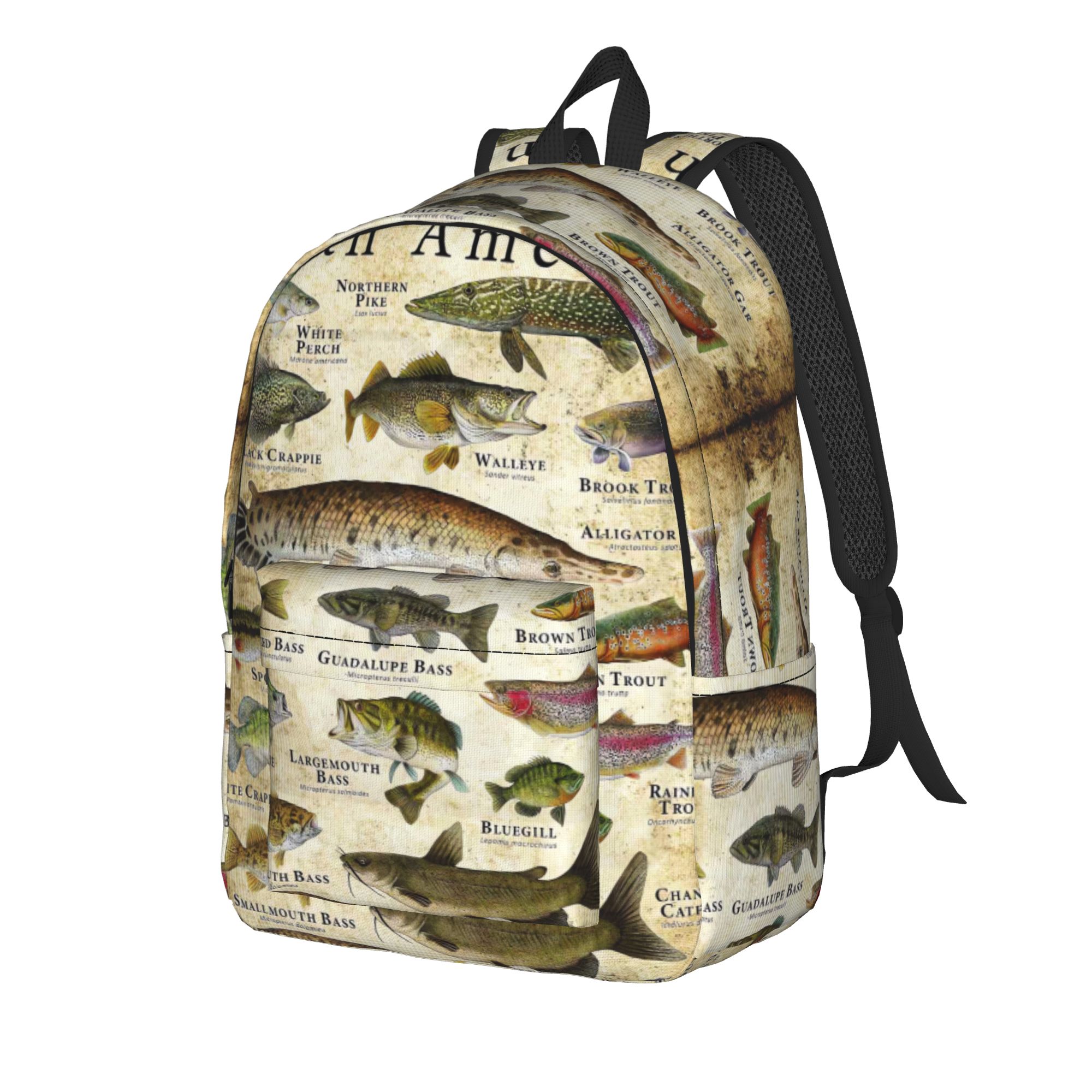 Fish Alphabet Educational Fres - Interior Design Education review and price