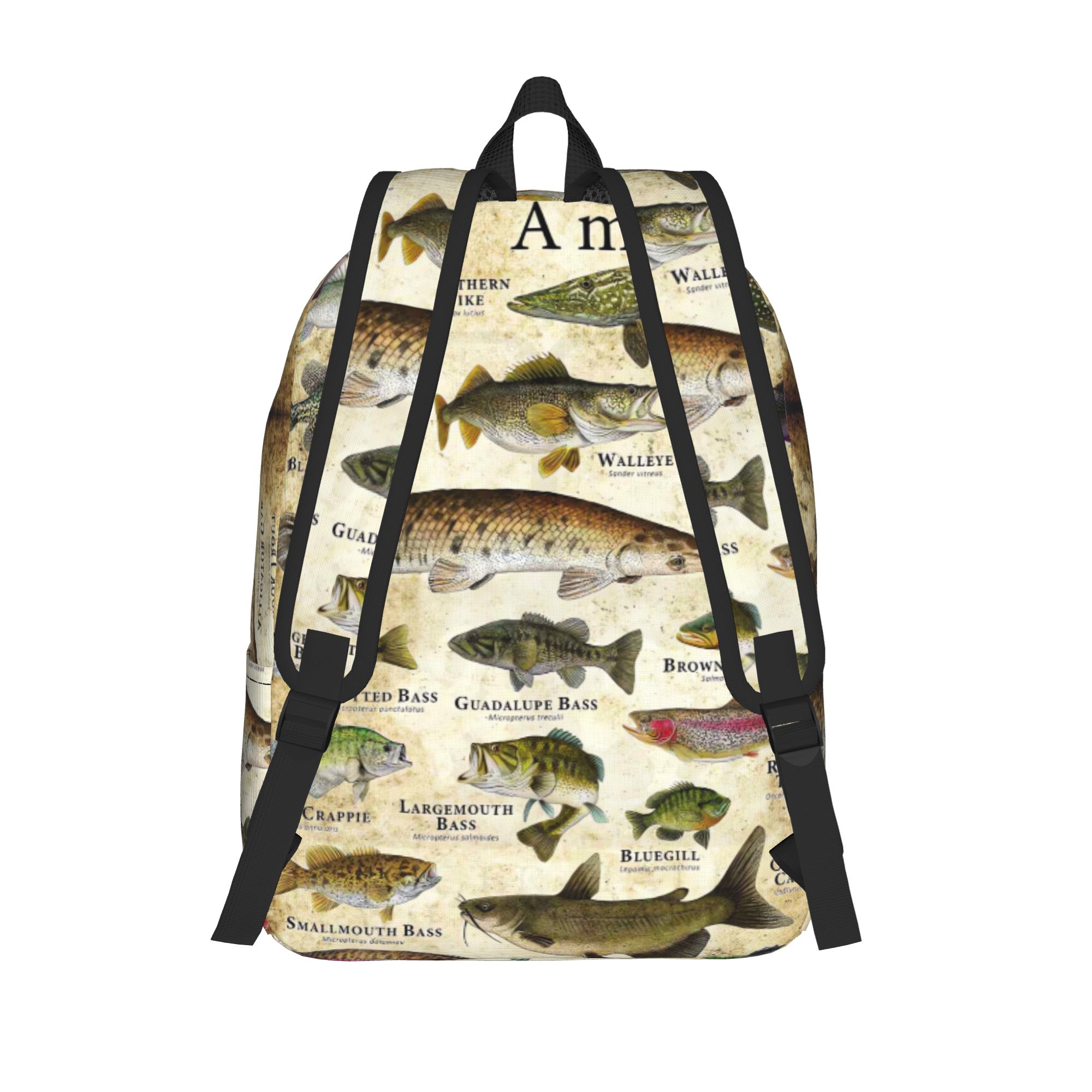 Fish Alphabet Educational Fres - Interior Design Education review and price